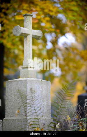 Oggetto contrassegnato per la rimozione definitiva con luce color croce di pietra di fronte colorato Foglie di autunno, Monaco di Baviera, Germania, Europa Foto Stock