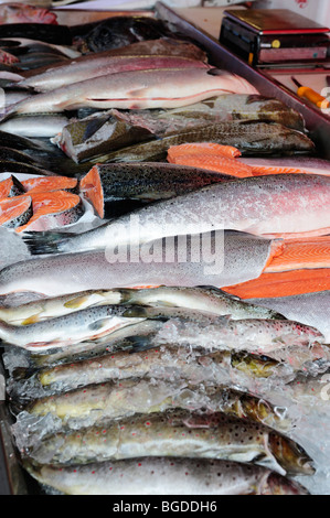 Pesce fresco al mercato del pesce di Bergen, Norvegia, Scandinavia, Europa settentrionale Foto Stock