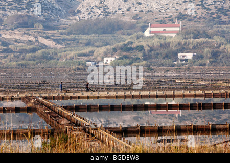 Salinas e Stari Grad, isola di Pag, Dalmazia, Mare Adriatico, Croazia, Europa Foto Stock