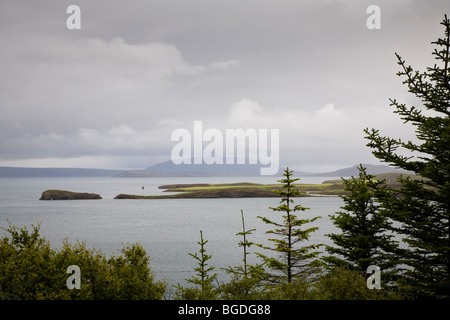 Vista sul lago Thingvallavatn. Thingvellir NP, Sud dell'Islanda. Foto Stock