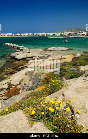 Aghia Anna beach, Naxos, Cicladi Grecia, Europa Foto Stock