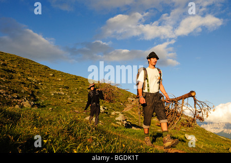 Giovani uomini portando il legno per i Herz-Jesu-Feuer, Sacro Cuore fire, Bressanone, Alto Adige, Italia, Europa Foto Stock