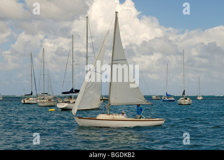 Barche a vela nel porto di Christiansted, St. Croix island, U.S. Isole Vergini degli Stati Uniti Foto Stock