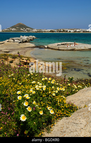 Aghia Anna beach, Naxos, Cicladi Grecia, Europa Foto Stock