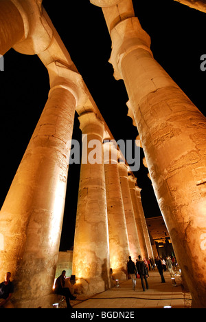 LUXOR, Egitto. Vista notturna del colonnato di Amenofi III al Tempio di Luxor. Foto Stock