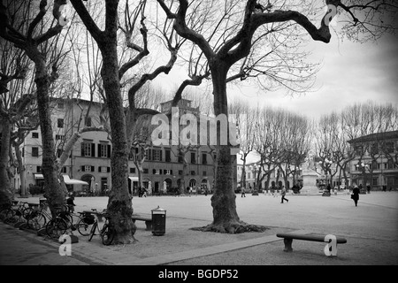Inizio della primavera tempo in Piazza Napoleone (Piazza Grande) in Luccca, Toscana, Italia. Foto Stock