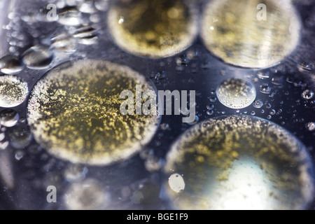 La formatura degli alveoli in un fluido, emulsione. Foto Stock