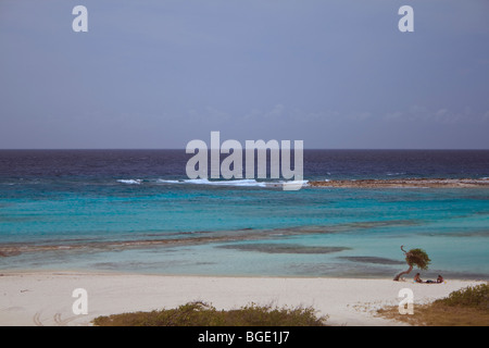 Baby Beach un preferito snorkeling sito per turisti e gente del posto sull'isola caraibica di Aruba Foto Stock