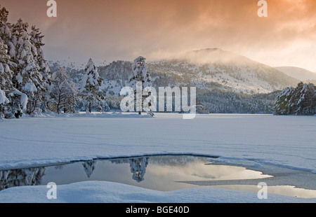 Forti nevicate invernali a Loch un Eilean nel Parco Nazionale di Cairngorms Aviemore SCO 5747 Foto Stock