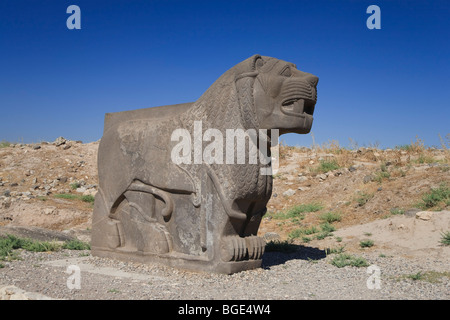 Siria, Aleppo, l'ottavo secolo BC Hittita tempio di Ain Dara, Lion Carving Foto Stock