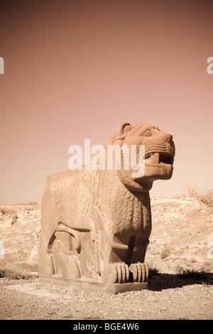 Siria, Aleppo, l'ottavo secolo BC Hittita tempio di Ain Dara, Lion Carving Foto Stock