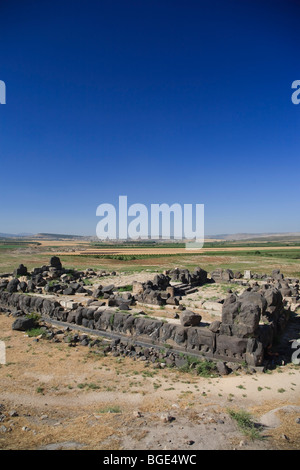 Siria, Aleppo, l'ottavo secolo BC Hittita tempio di Ain Dara Foto Stock