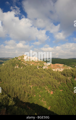 Siria, costa Nord, Qalaat Salah ad Din (Saladino Castello dei Crociati) Foto Stock