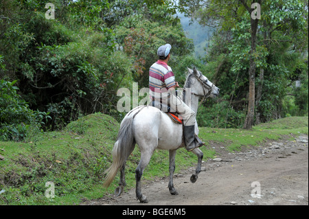 Uomo di equitazione cavallo bianco nel Salento,Colombia, Sud America. Foto Stock