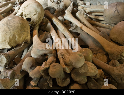 Medieval teschi umani e ossa lunghe impilati nell'ossario di St Leonards chiesa, Hythe, Kent, Inghilterra Foto Stock