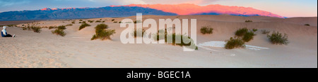 Questo è il panorama del Mesquite dune di sabbia vicino a tubo da stufa pozzi nel Parco Nazionale della Valle della Morte. Foto Stock