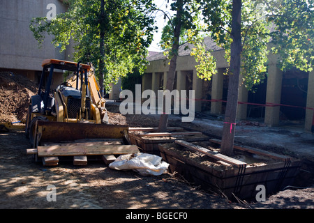 Un bulldozer in ombra accanto a boxed di alberi che vengono spostati Foto Stock