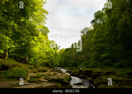 Rocce alla 'hotel Astrid sul fiume Wharfe lungo il Dales modo lungo il percorso a distanza Foto Stock