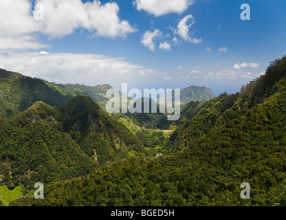 La foresta pluviale di Madeira Vista da Ribeiro Frio Foto Stock
