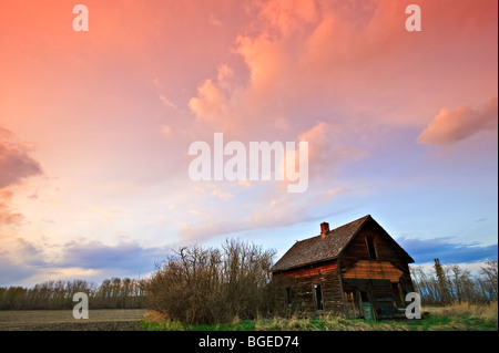 Canada, Alberta, Tramonto in un campo con una vecchia cabina vicino Barrhead, Foto Stock