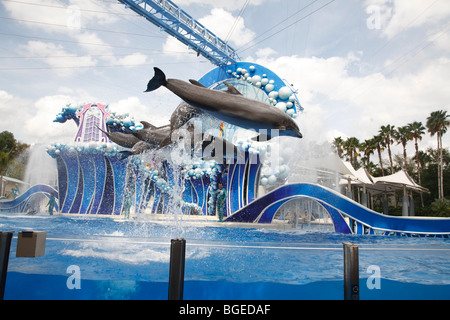 I delfini eseguire nel blu orizzonti mostra al Seaworld di Orlando, Florida Foto Stock