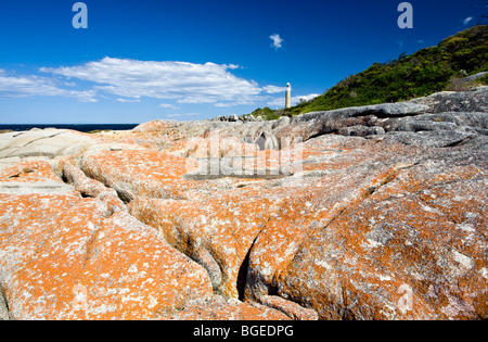 Lichen incrostati di granito a Mount William National Park, la Tasmania, Australia Foto Stock