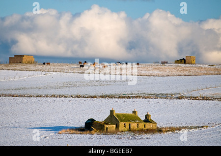 Abbandonato casa Croft nel nord di Orkney continentale Foto Stock