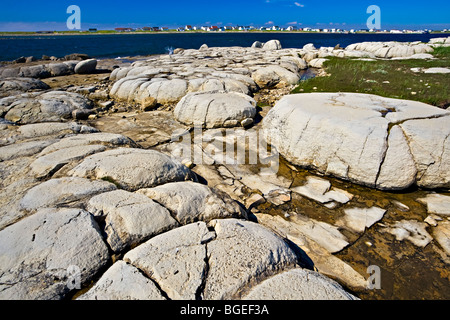 Thrombolites (le prime forme di vita primitive sulla terra) in Flower's Cove lungo l'autostrada 430 sulla penisola settentrionale, grande Foto Stock