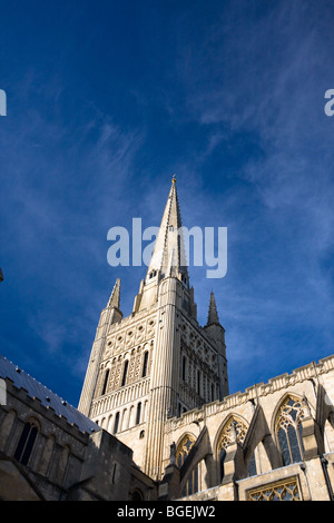 Intorno a Norwich Cathedral nel cuore del Norfolk, Inghilterra Foto Stock