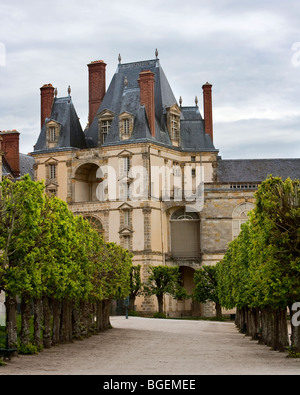 Chateau de Fontainebleau, il castello di Fontainebleau, Parigi, Francia, Europa Foto Stock