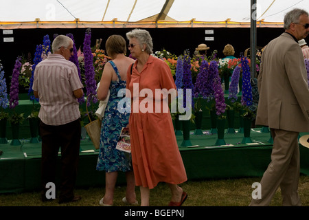 RHS spettacolo presso il Royal Norfolk Show 2009 Foto Stock