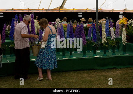 RHS spettacolo presso il Royal Norfolk Show 2009 Foto Stock