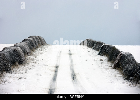 Scottish back road vicino a Duns. Scottish Borders. Foto Stock