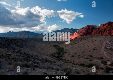 Formazioni rocciose nella Red Rock Canyon National Conservation Area, Nevada Foto Stock