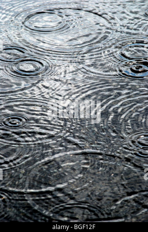 Gocce di pioggia Foto Stock