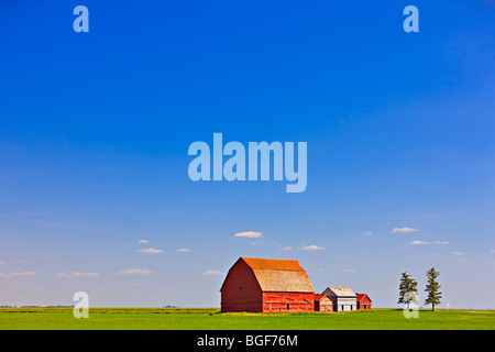 Granai di rosso al centro di un ampio campo di piatto nella prateria di terra del sud del Saskatchewan, Canada. Foto Stock