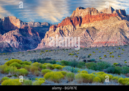 Spazzola di coniglio e formazioni rocciose nella Red Rock Canyon National Conservation Area, Nevada. Il cielo è stato aggiunto. Foto Stock