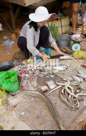 Donna vietnamita prepara le anguille nel mercato del pesce Foto Stock
