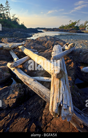 Driftwood sparsa su un promontorio roccioso lungo South Beach, Pacific Rim National Park, Long Beach, unità di Clayoquot Sound UNESCO Bios Foto Stock