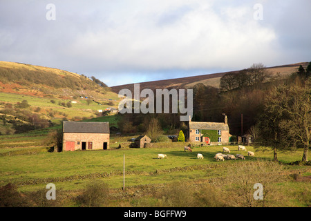 Edifici agricoli nel vicino Gradbach affacciato sul villaggio di Flash nel Derbyshire. Foto Stock