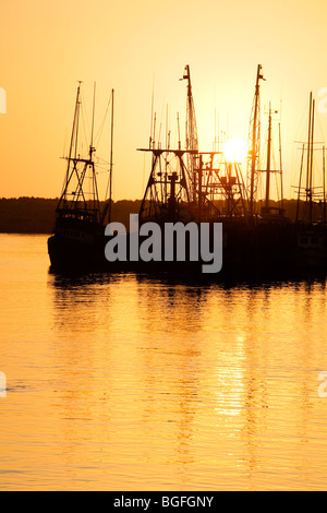 Barche da pesca,città di Morro Bay,San Luis Obispo County, California , Stati Uniti Foto Stock