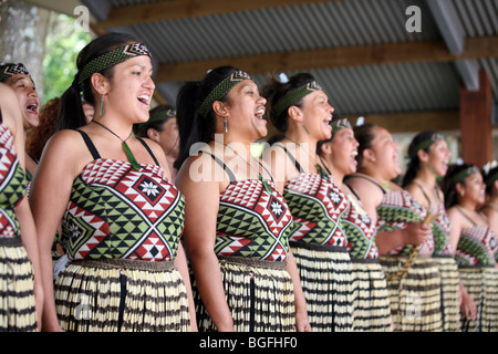 Polinesiano cultura Maori Group (Ngaru Kaha) da Whangarei, danza una Kapa Haka durante Waitangi Day celebrazioni a Waitangi Foto Stock