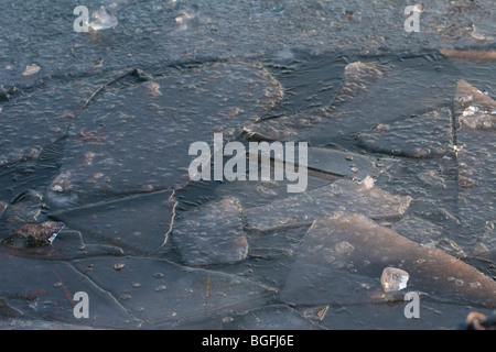 Un lago ghiacciato in Wollaton Park, Nottingham, Inghilterra, Regno Unito Foto Stock