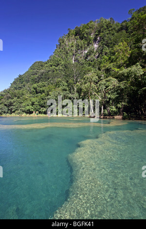 Turchesi acque di Semuc Champey. Alta Verapaz, Guatemala, America Centrale Foto Stock