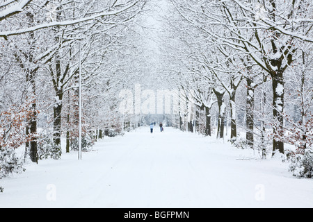 Coperte di neve avenue Foto Stock