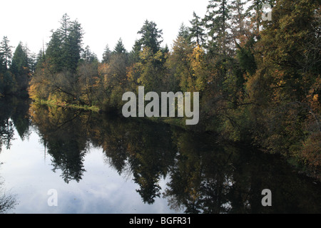 Paesaggio autunnale presso il fiume Tualatin in Oregon Foto Stock