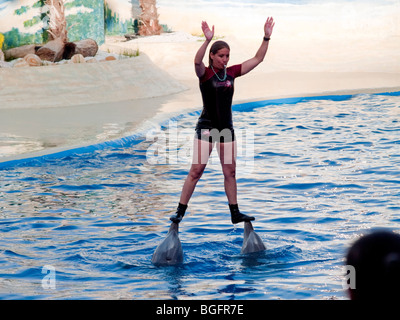 Spettacolo di Delfini in Acquario dello zoo di Madrid (Spagna) Foto Stock