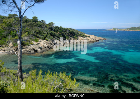 Bay o ingresso sul Port Cros Island National Park, & Mare Mediterraneo, Îles d'Hyères, Var, Côte d'Azur o Costa Azzurra, Francia Foto Stock