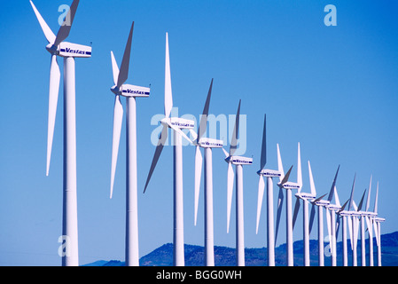 Wind Farm Wind Turbine di centrali eoliche, rinnovabili / Energia alternativa potenza in prossimità del rullo di estrazione Creek, Alberta, Canada Foto Stock