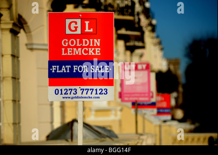 Goldin Lemcke Estate Agent for sale Board and Signs a Hove Brighton Sussex Regno Unito Foto Stock